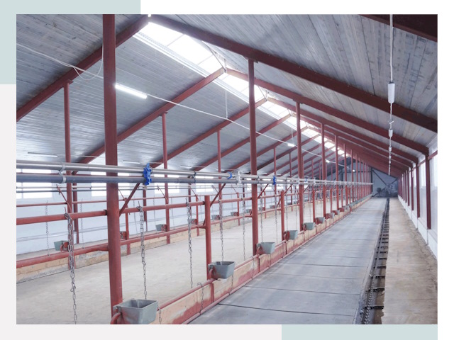 Строительство коровников в Сарапуле от 619 руб.